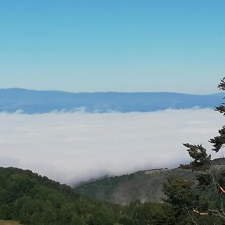 Adelfes P16, Milmari *