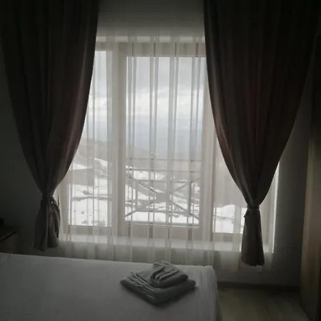 Adelfes P16, Milmari