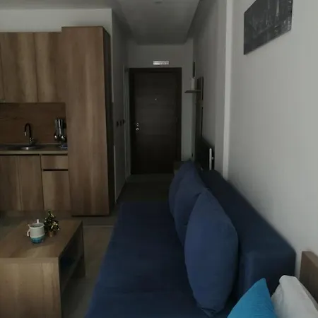 Adelfes P16, Milmari