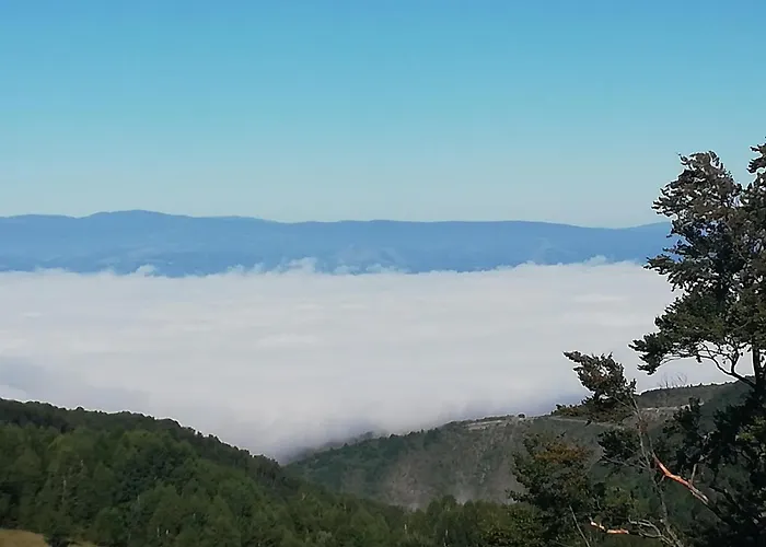 Adelfes P16, Milmari *