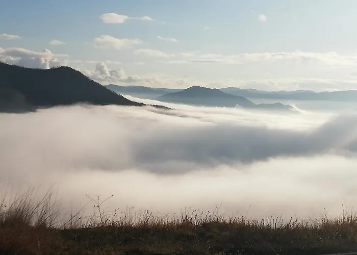 Apartman Adelfes P16, Milmari